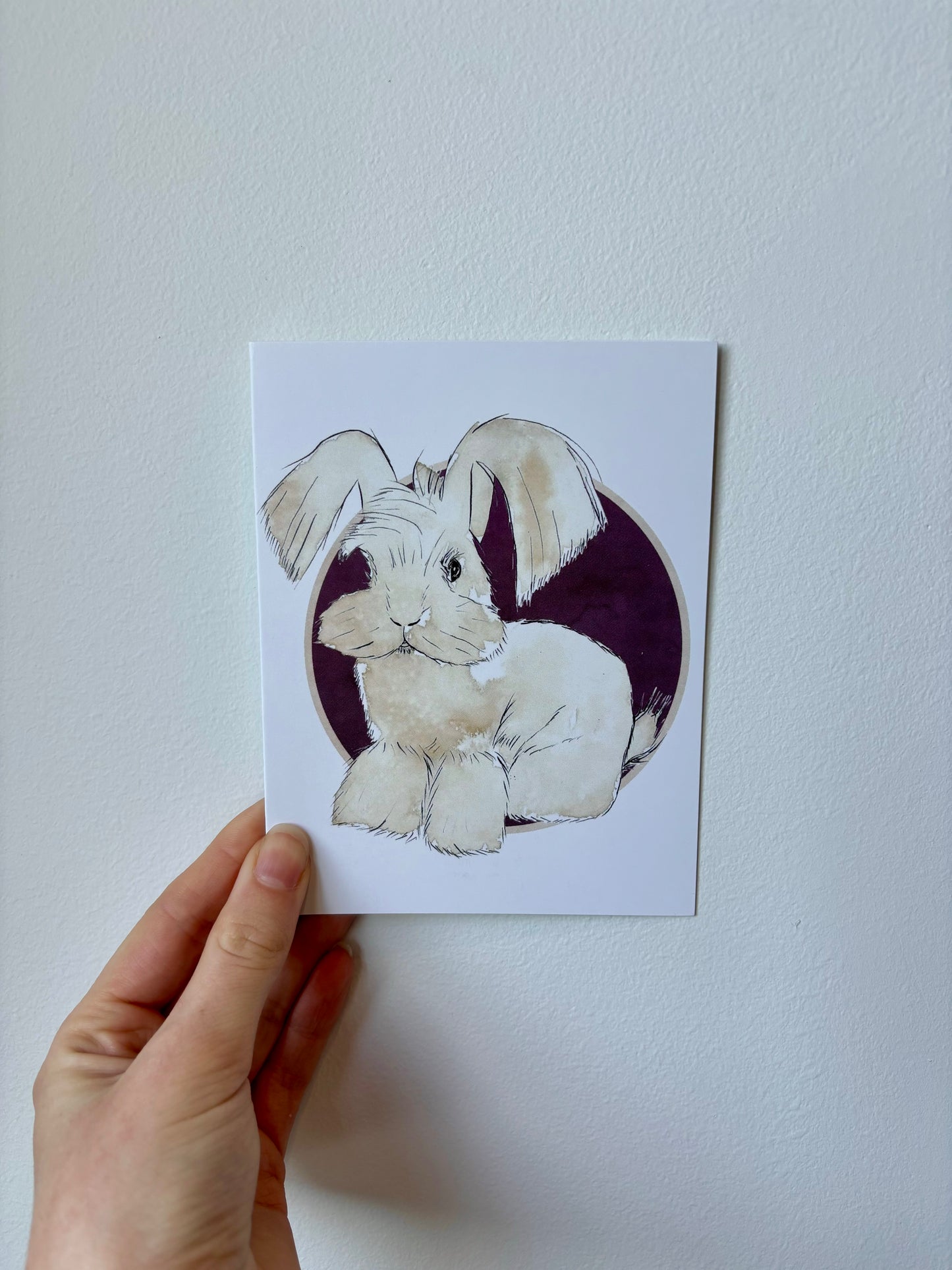 Single Rabbit Greeting Cards - 6 pack