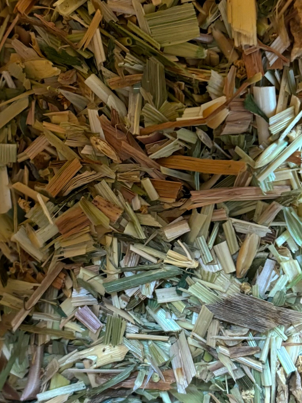 Forager's Dream - Chicory Root, Licorice Root, Chamomile, Elderflower, Dandelion, Raspberry Leaf Chaff