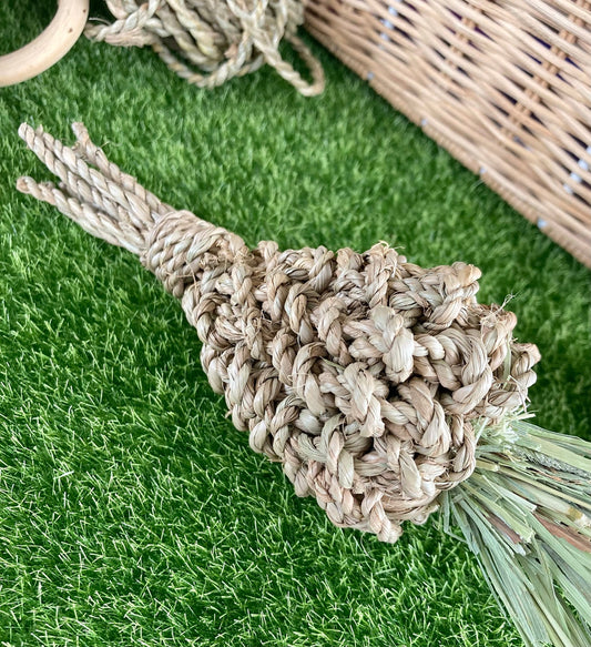 Seagrass & Hay Carrot - Nibble & Knots