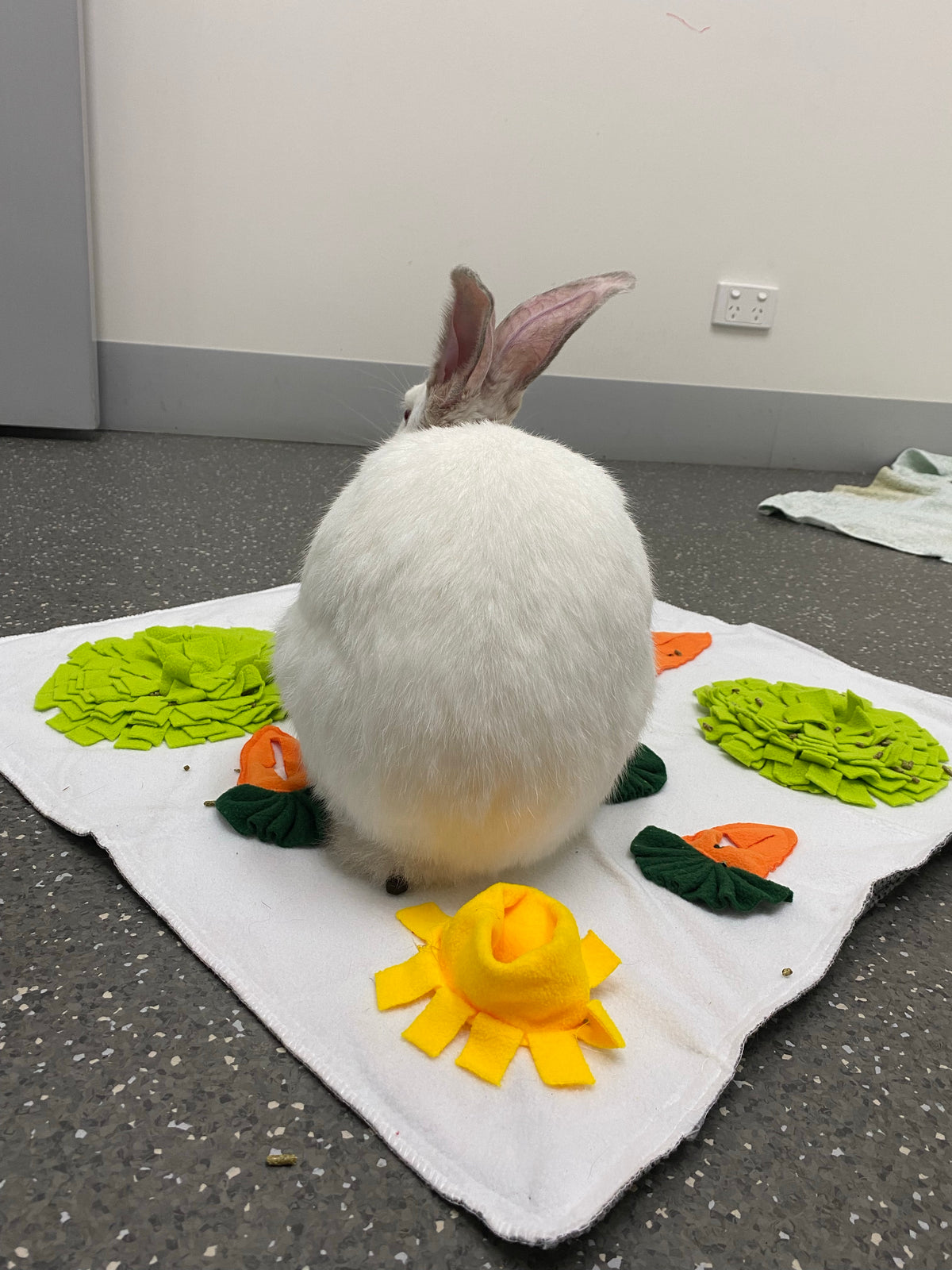 Rabbit Snuffle Mat