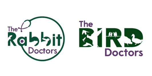 Qualified Veterinary Nurse / Veterinary Technician