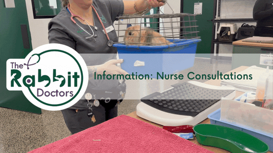 Information - Nurse Consultations