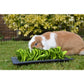 Fleecy Grass Snuffle Mat