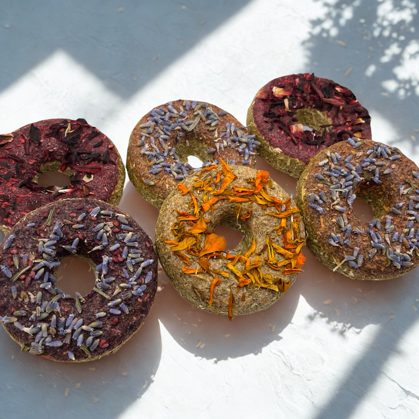 Donuts Sample Pack - Bunbun's Toy Box