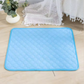 Coloured Washable Pet Pad