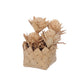 Blooming Box Bird Toy