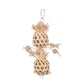 Pineapple Bird Toy