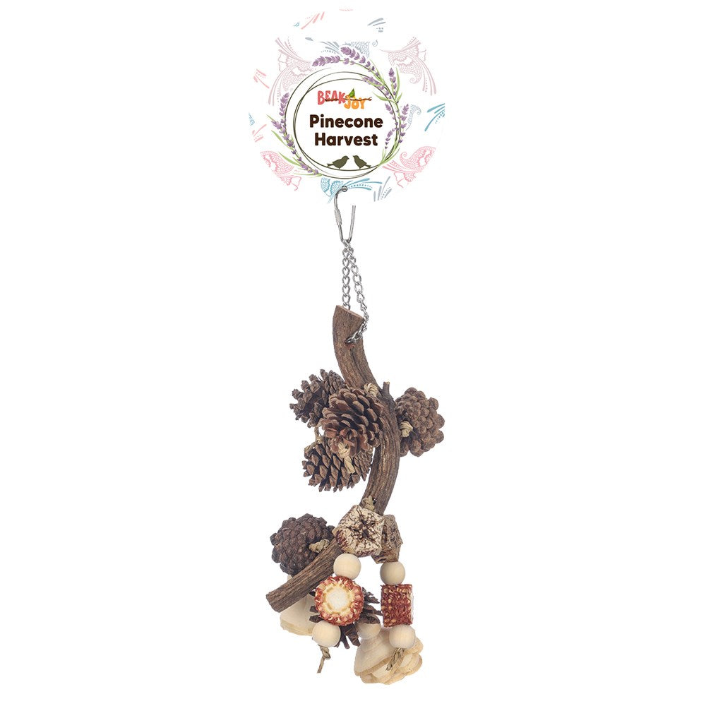 BeakJoy Pinecone Harvest