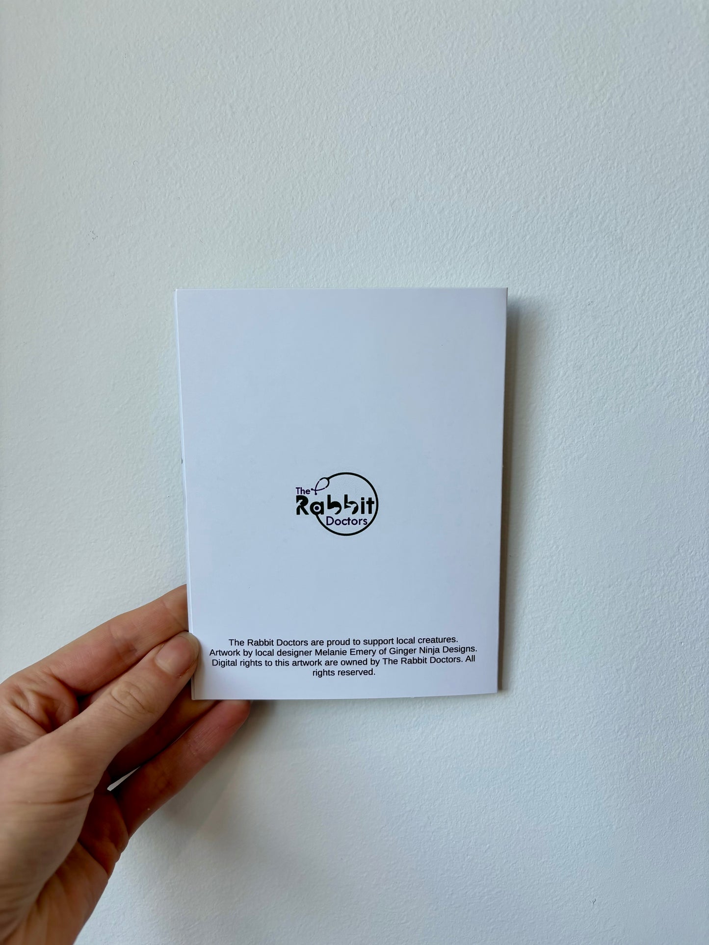Single Rabbit Greeting Cards - 6 pack