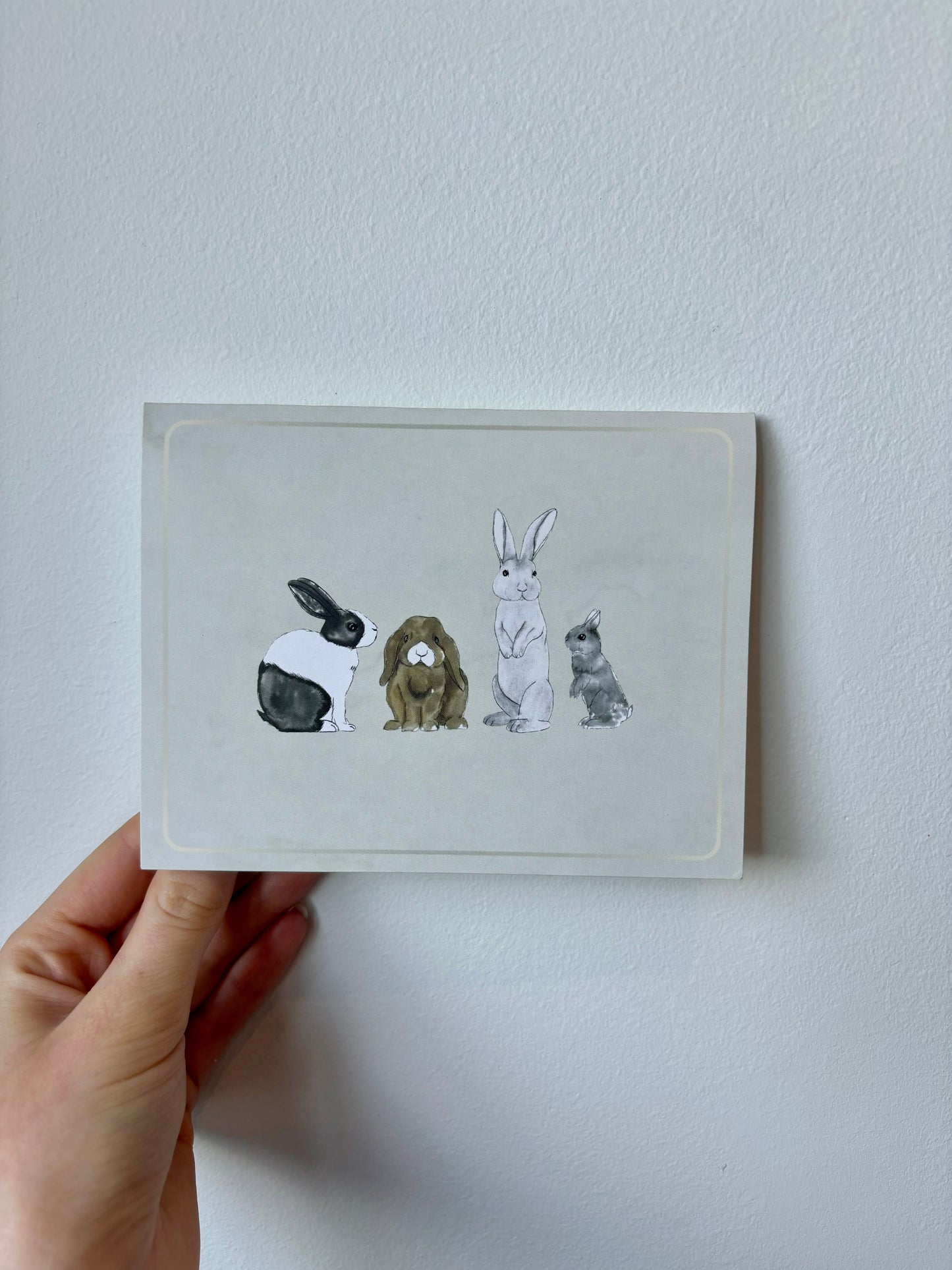 Grouped Rabbits Greeting Cards - 6 pack