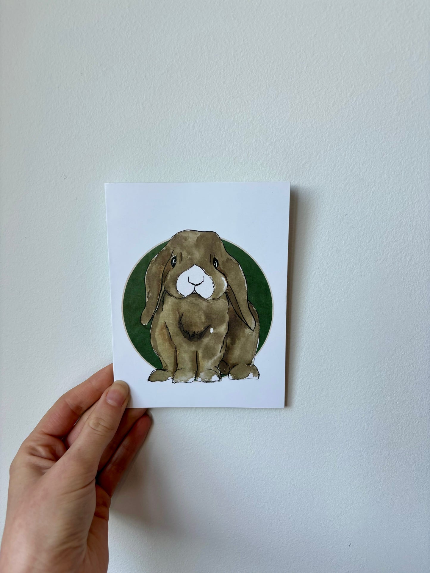 Single Rabbit Greeting Cards - 6 pack