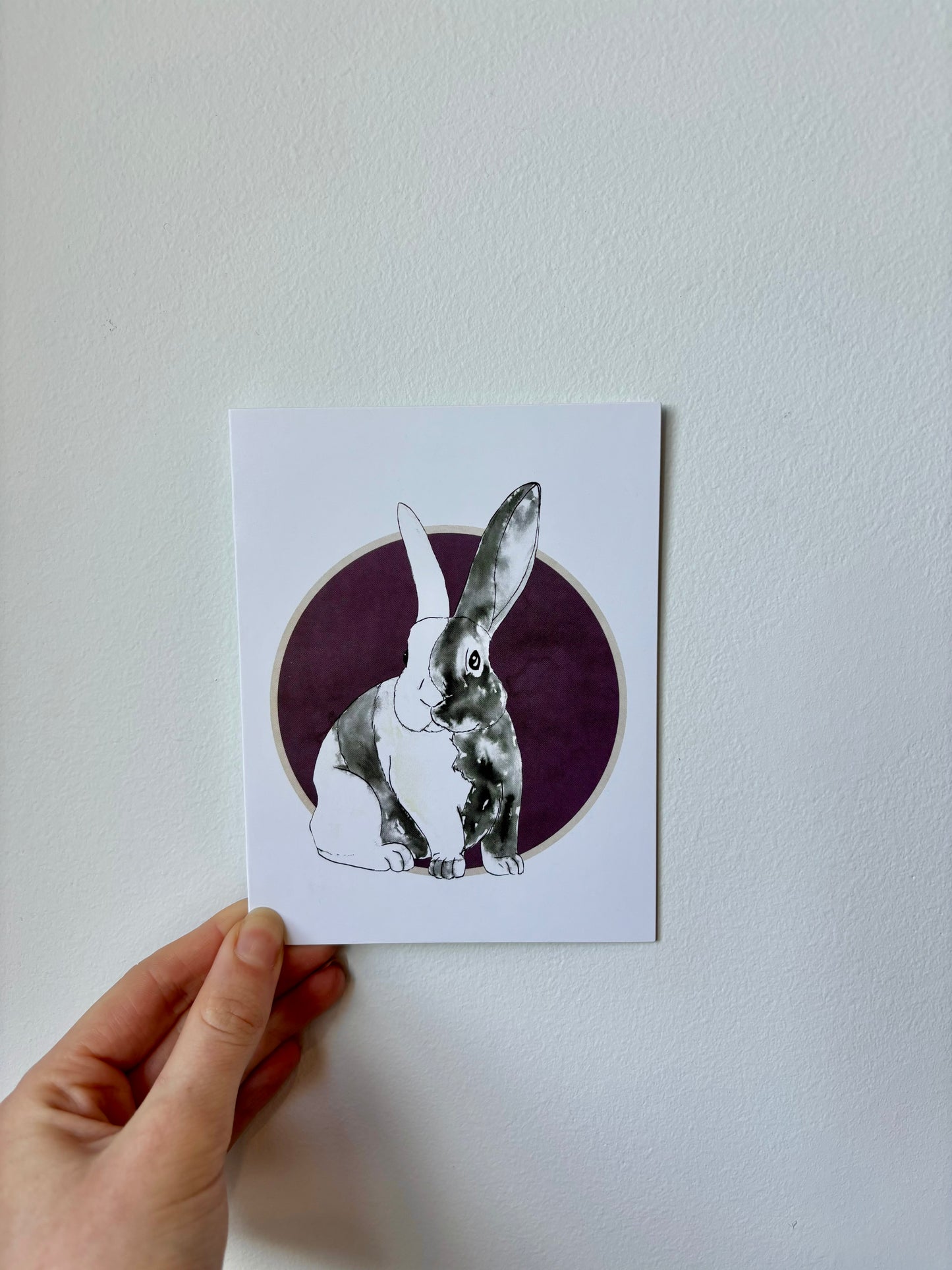 Single Rabbit Greeting Cards - 6 pack