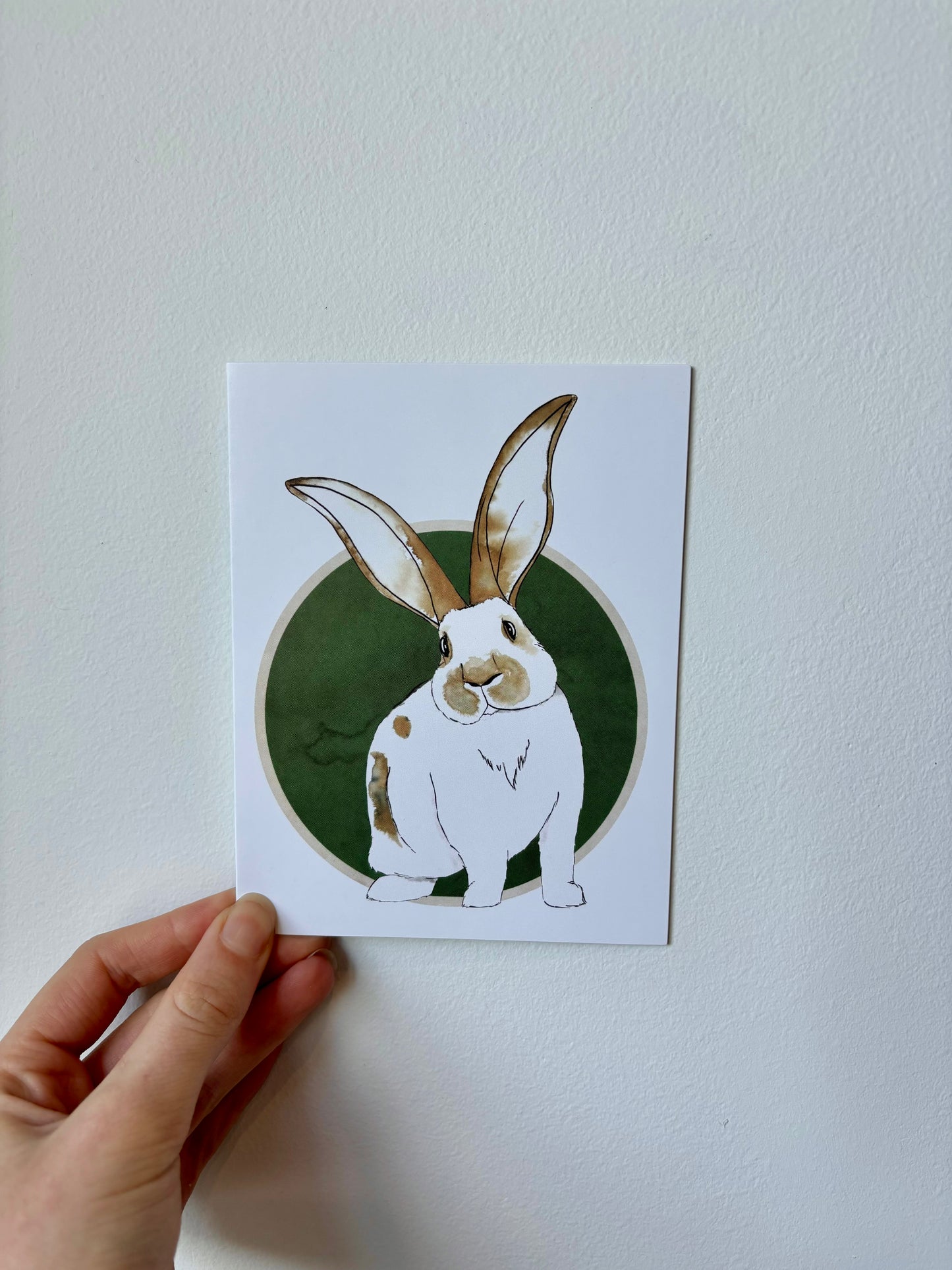 Single Rabbit Greeting Cards - 6 pack