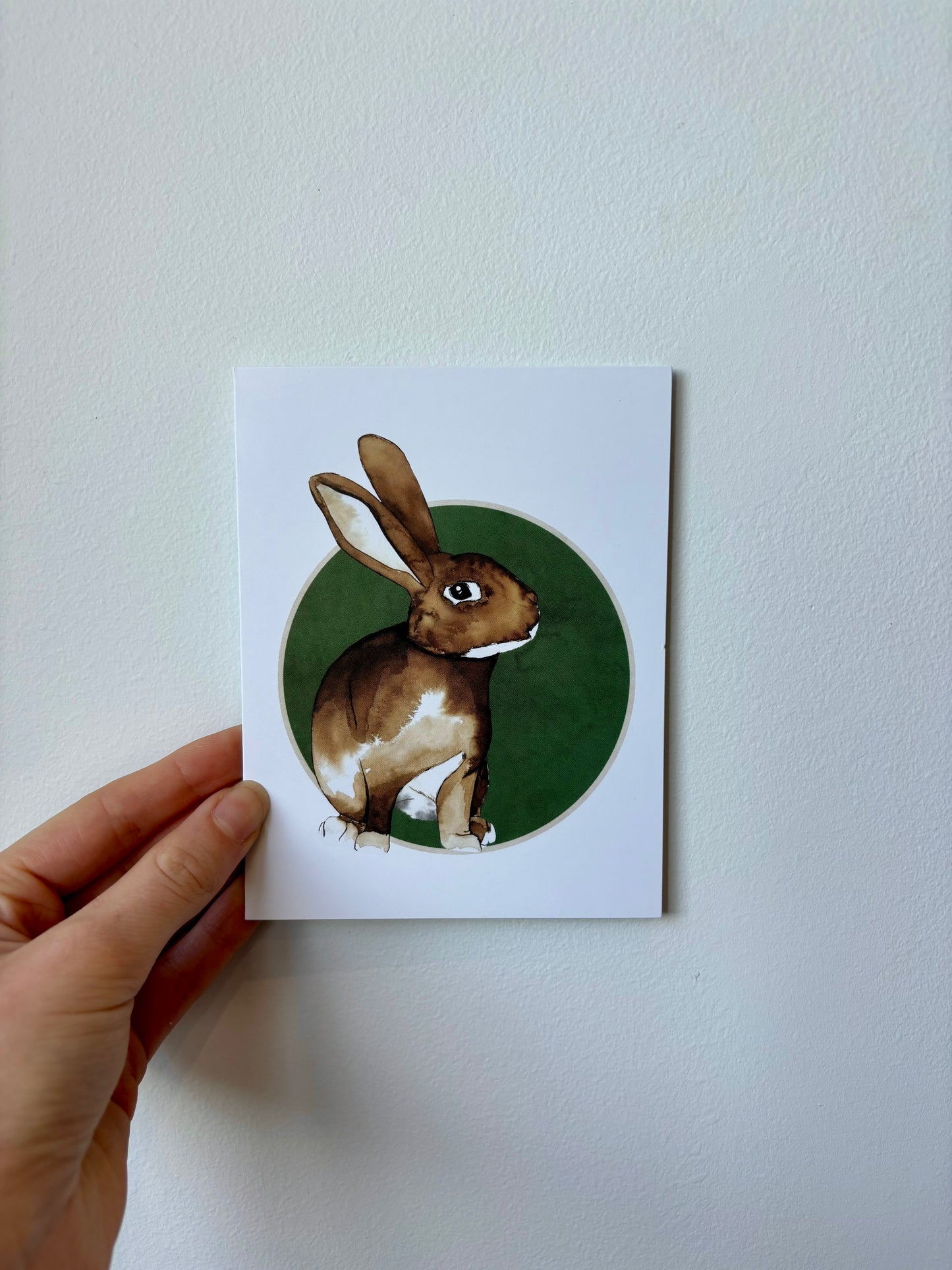 Single Rabbit Greeting Cards - 6 pack