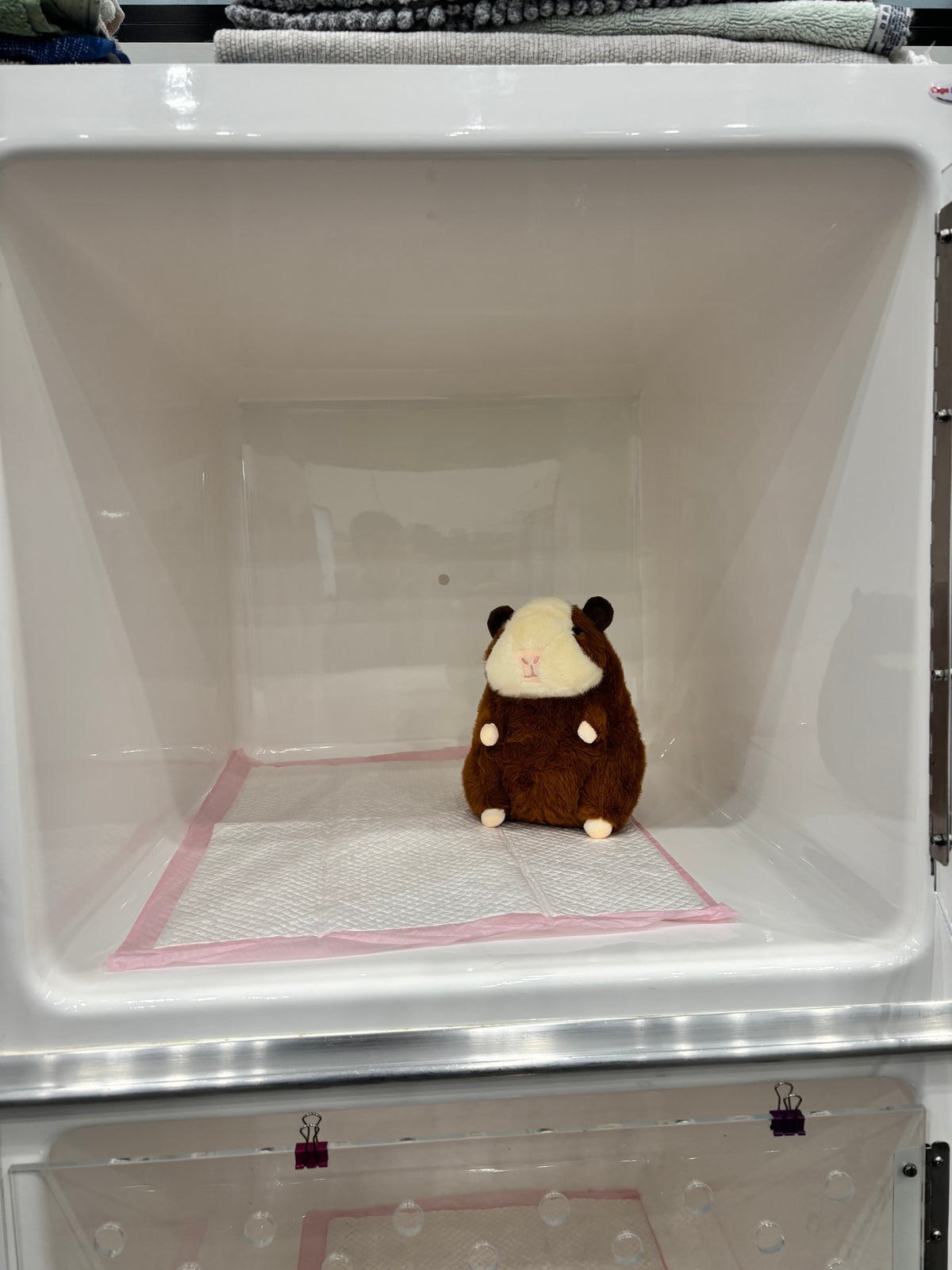 Plump Guinea Pig Plush Toy