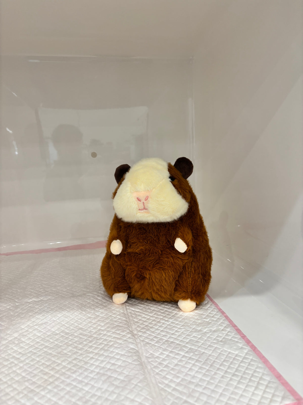 Plump Guinea Pig Plush Toy