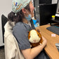 Plump Guinea Pig Plush Toy