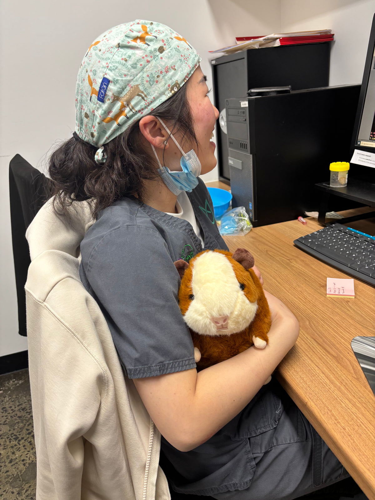 Plump Guinea Pig Plush Toy