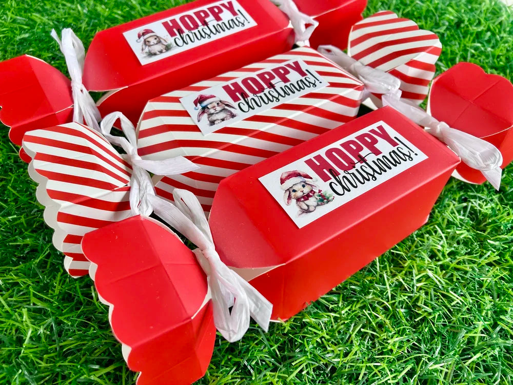 Bon Bon - Nibble & Knots - Festive Season 2026