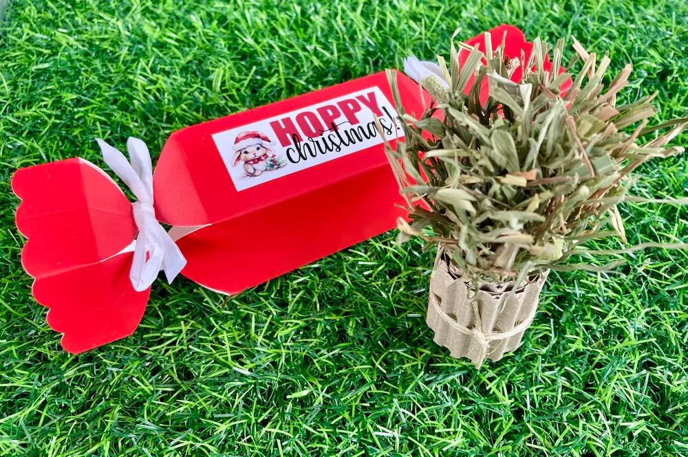 Bon Bon - Nibble & Knots - Festive Season 2026