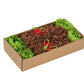 Garden Dig - Forage Snuffle Box