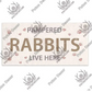 Pampered Rabbit - Decorative Sign