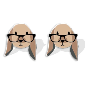 Brown Lop With Glass Stud Earrings