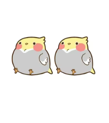 Plump Cockatiel Stud Earrings
