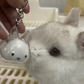 Transparent Bunny Keepsake Keyring
