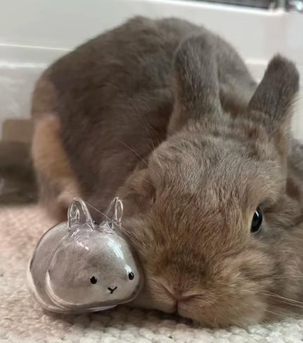 Transparent Bunny Keepsake Keyring
