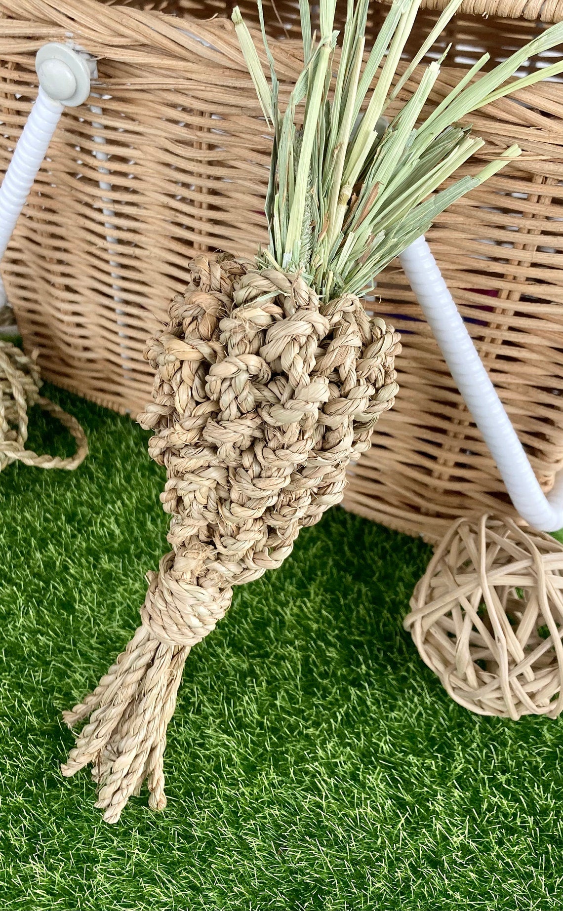 Seagrass & Hay Carrot - Nibble & Knots