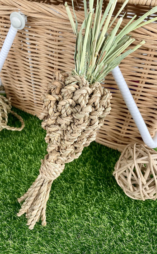 Seagrass & Hay Carrot - Nibble & Knots