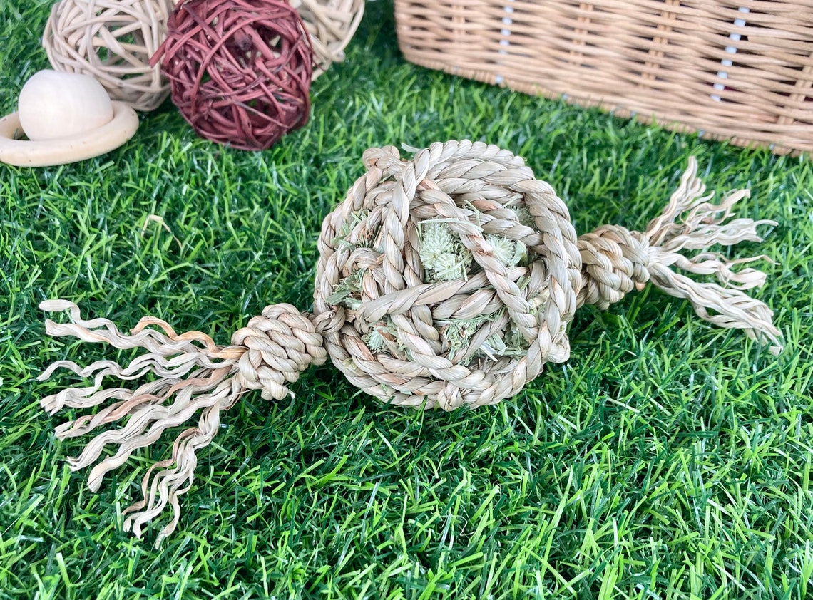 Seagrass & Hay Lolly - Nibble & Knots