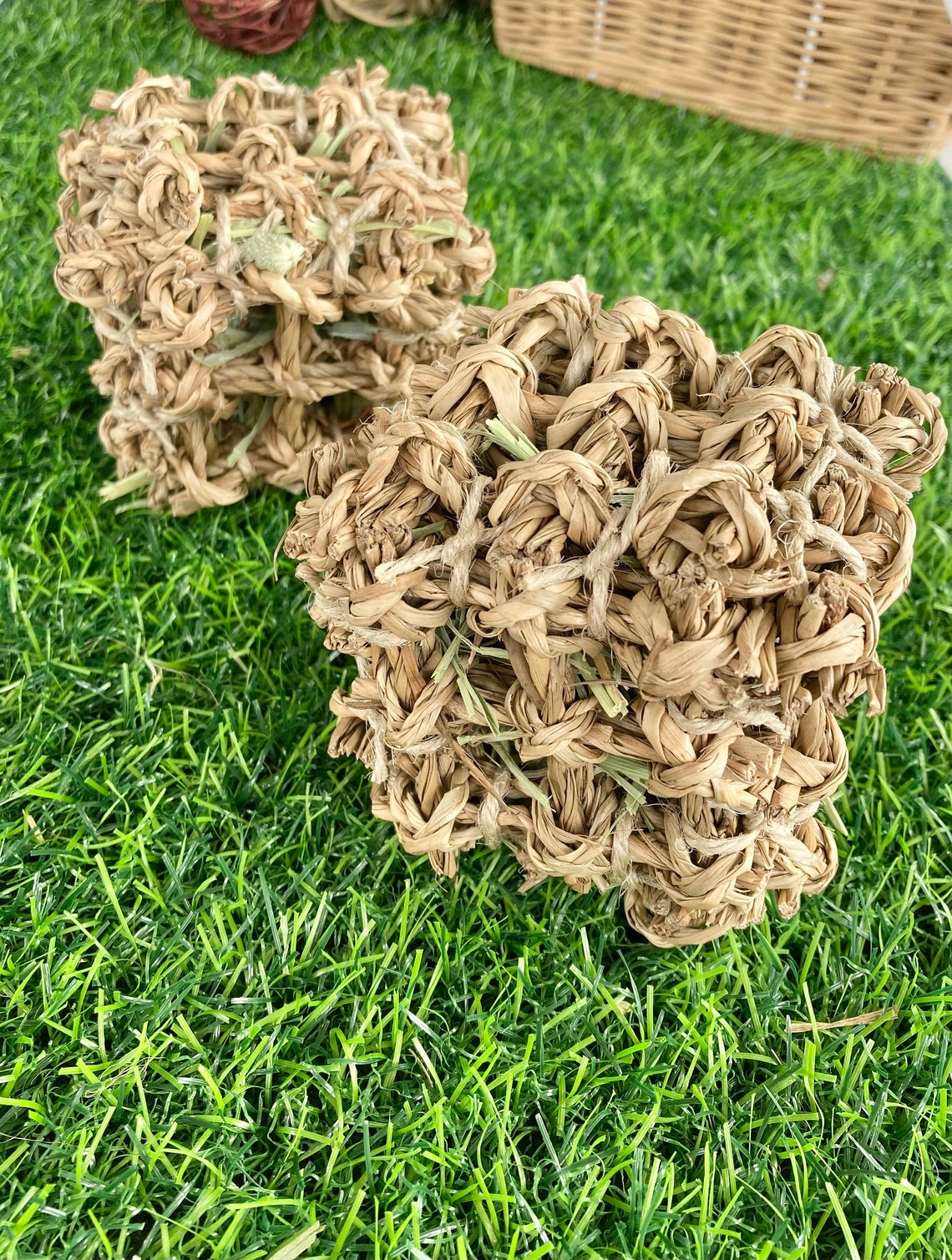 Seagrass & Hay Cubes 2 Pack - Nibble & Knots