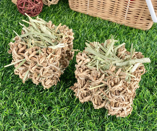 Seagrass & Hay Cubes 2 Pack - Nibble & Knots