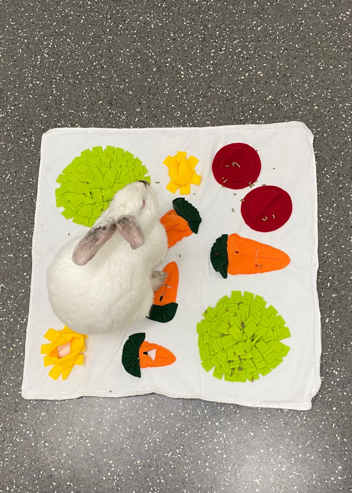Rabbit Snuffle Mat