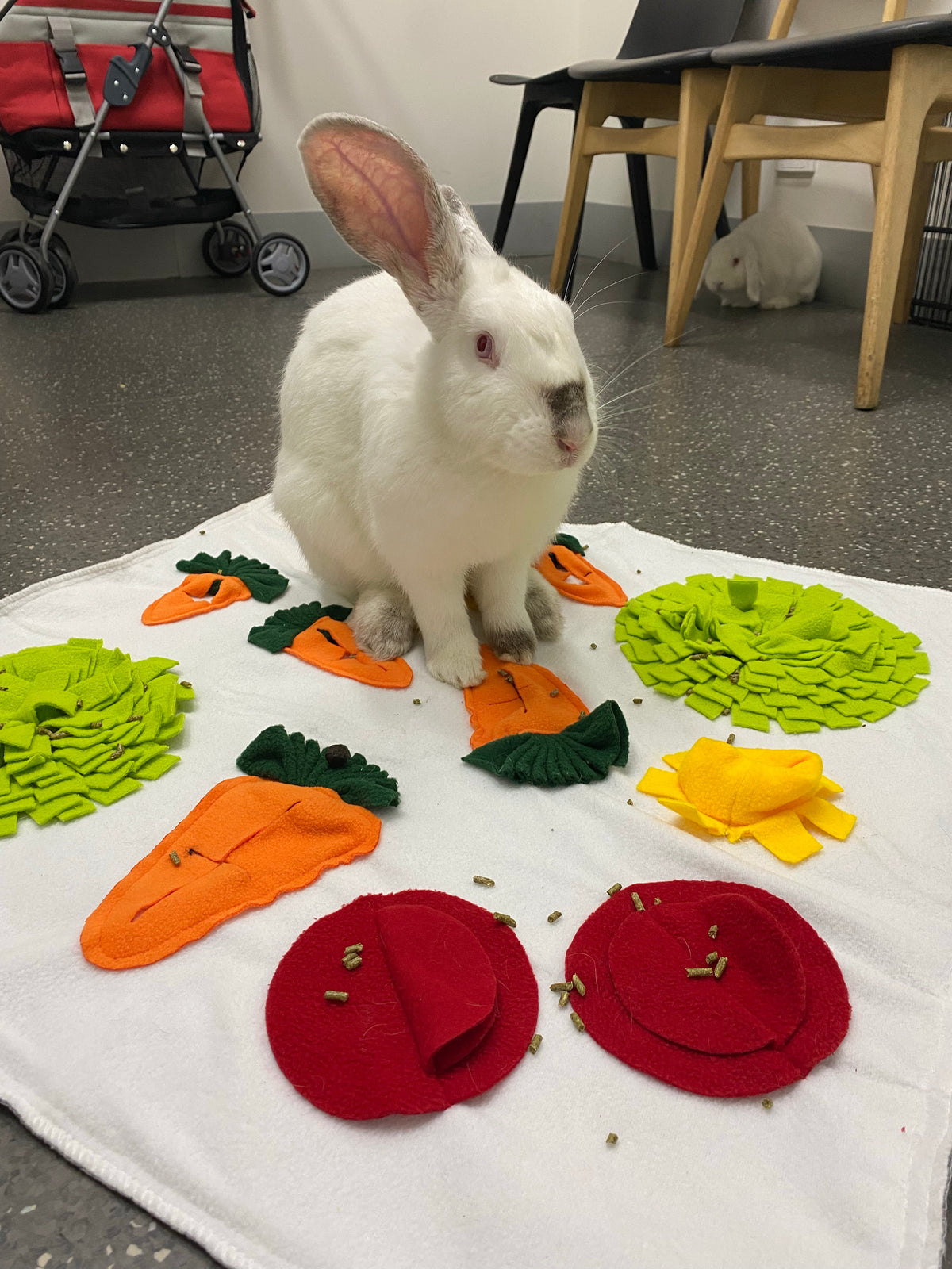 Rabbit Snuffle Mat